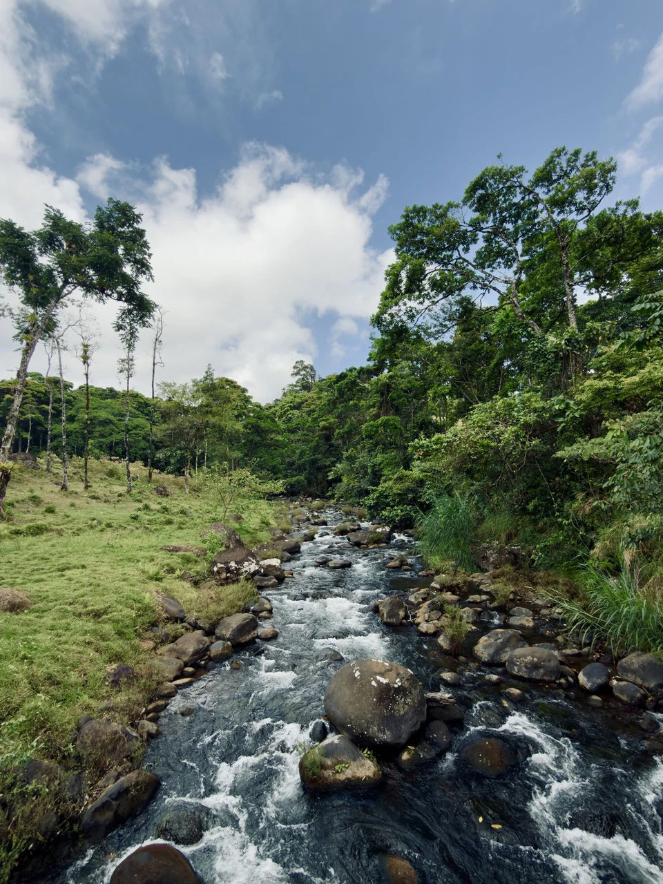 Finca Abuelo: Riverfront, Mountain and Countryside Agricultural Land For Sale in Aguas Claras - photo 5