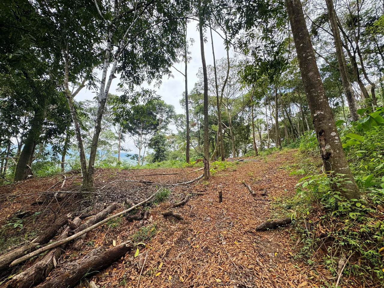 2.6 Acre Waterfall View Property in Playa Dominical Costa Rica - Gallery image 2
