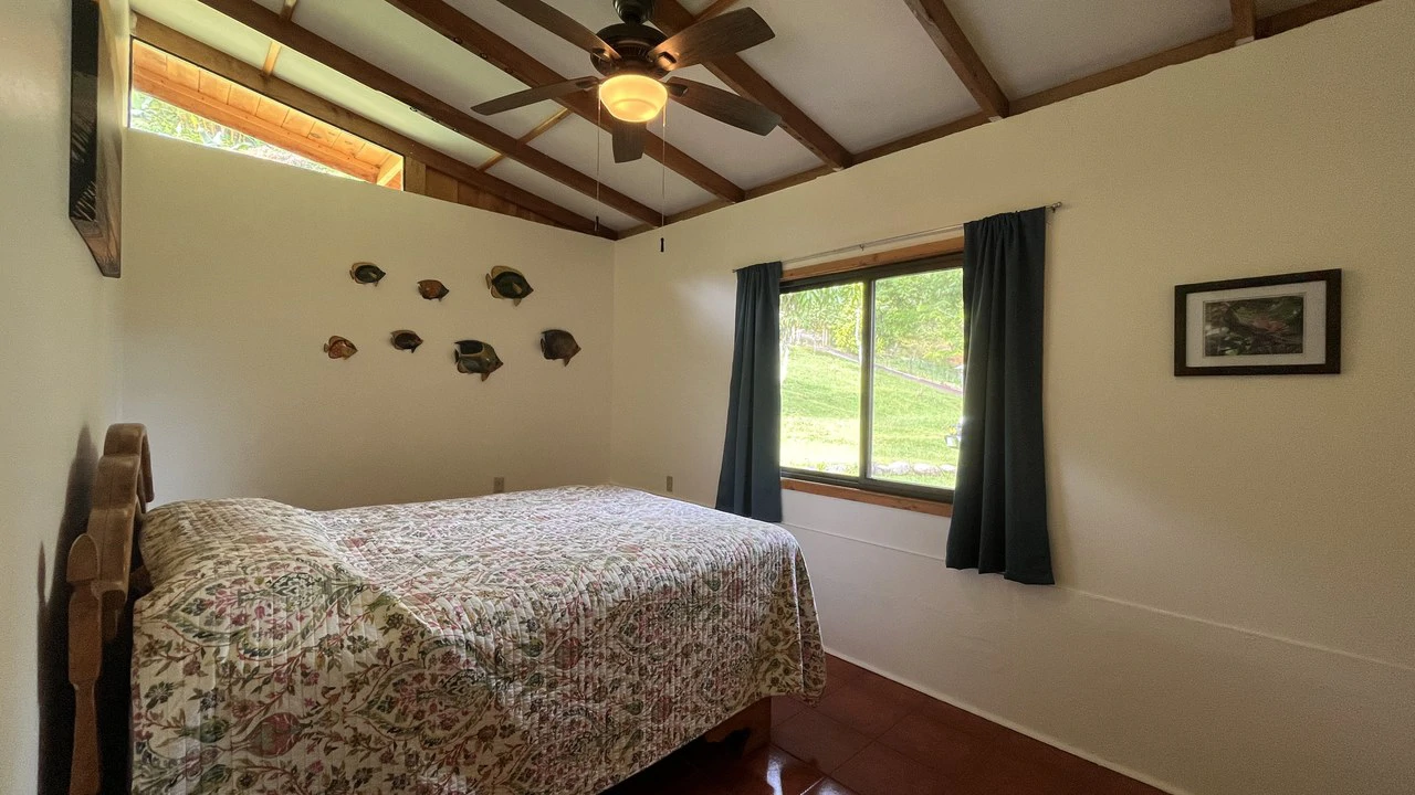 Mountain House For Sale in San Isidro del General - photo 23