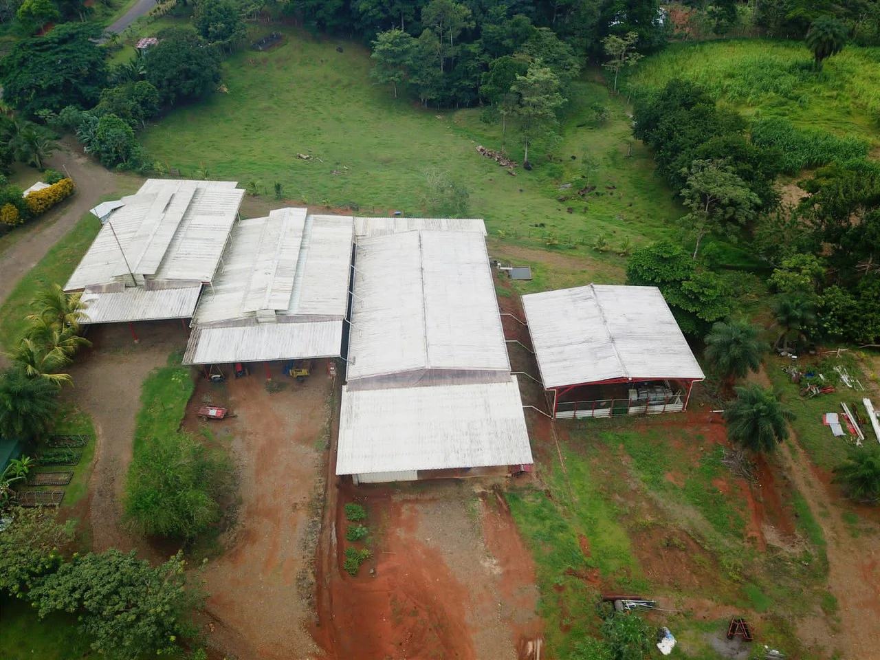 Professional Milk Factory for Sale with a big house in the mountains of Bijagua Costa Rica - Gallery image 3