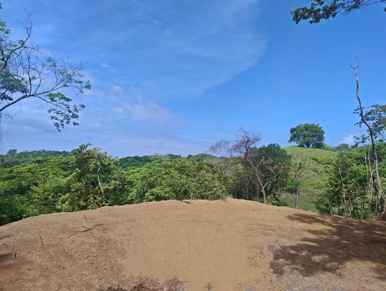 Hilltop Lot Surrounded by Nature