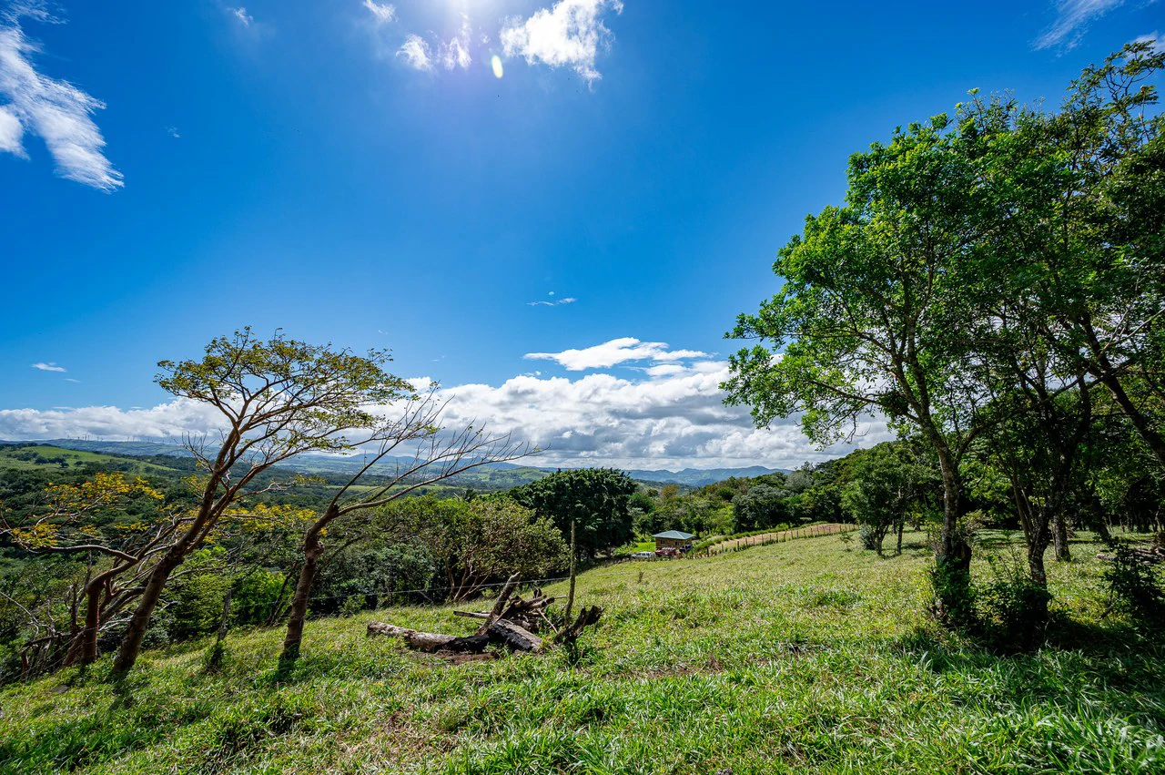 LA CABAÑA - COUNTRY ESTATE WITH HUGE POTENTIAL - Gallery image 38