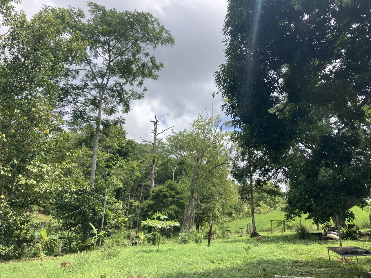 Frog Desing House: Property for Sale in Parrita, Costa Rica - Gallery image 23