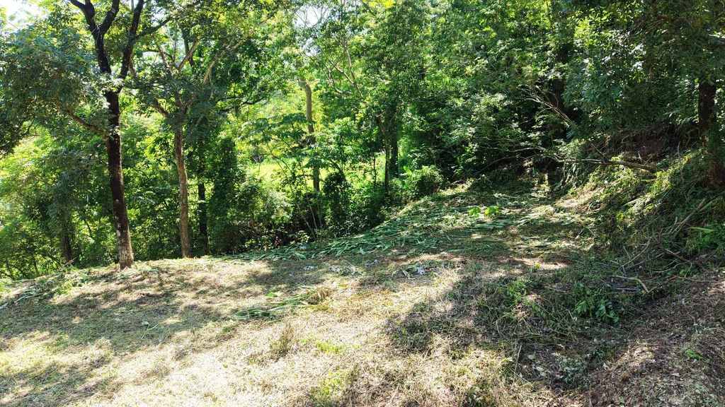 Lote Budry: Exclusive Elevated Lot with Stunning Mountain & Jungle Views Near Samara Beach - Gallery image 5