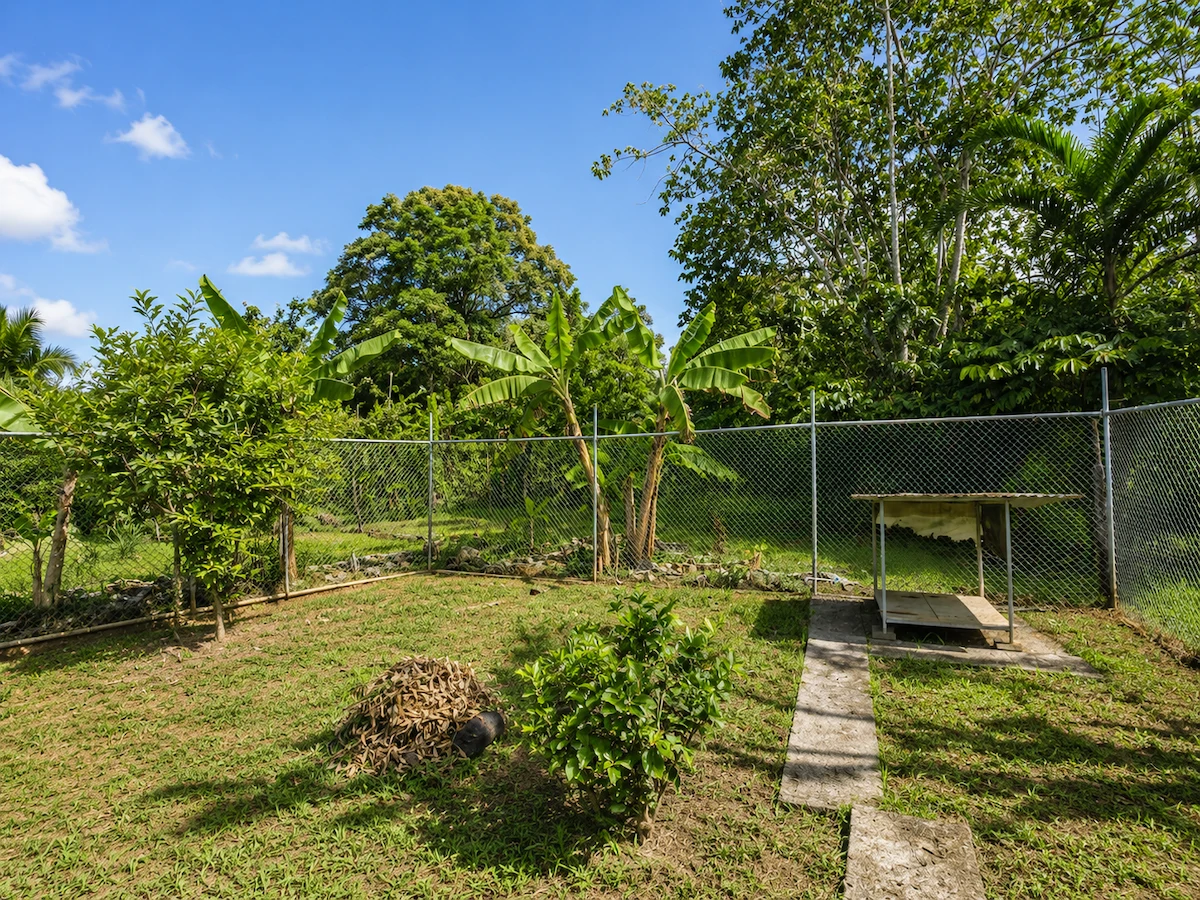 3 Bedroom Home Near Puerto Jiménez - Gallery image 6