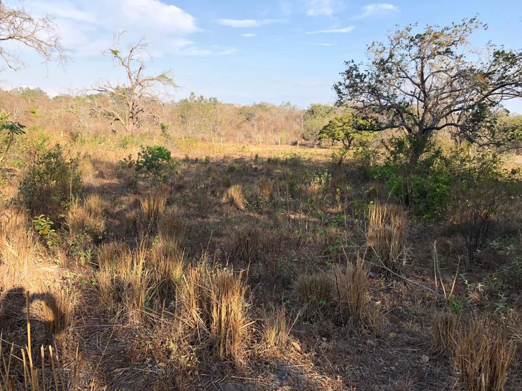 Airport Property - in front of route 21, Liberia - Gallery image 12