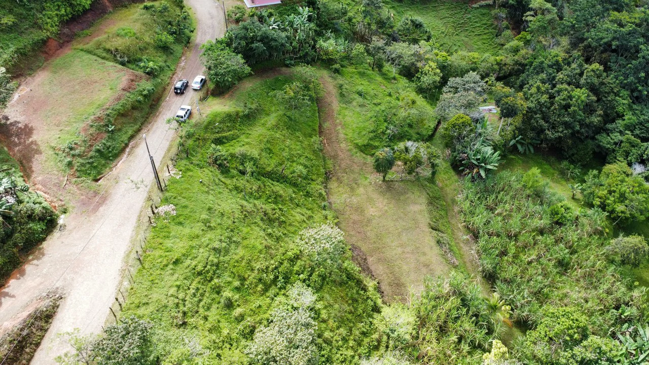 Propiedad en San Blas: Mountain Agricultural Land For Sale in La Linda General Viejo - Gallery image 2