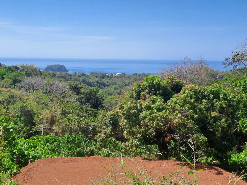 Lote Pacifico: Price Reduction - Rare Ocean-View Parcel, Just Minutes from Samara Beach - Gallery image 2