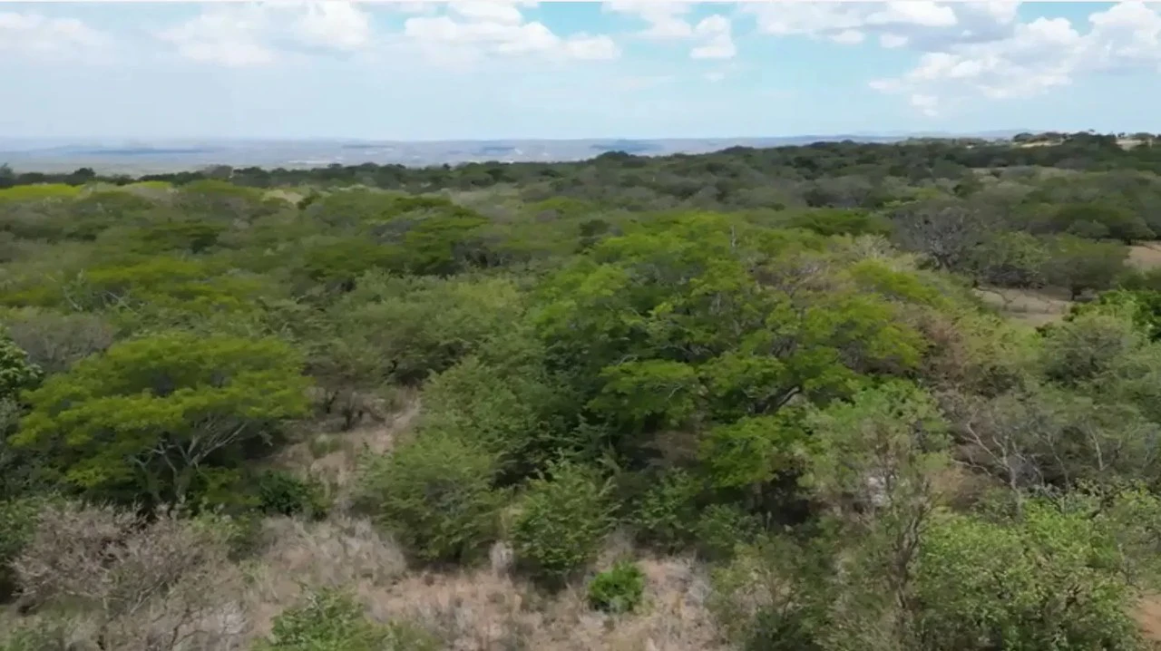 Land for Sale in Liberia, Guanacaste - Gallery image 3