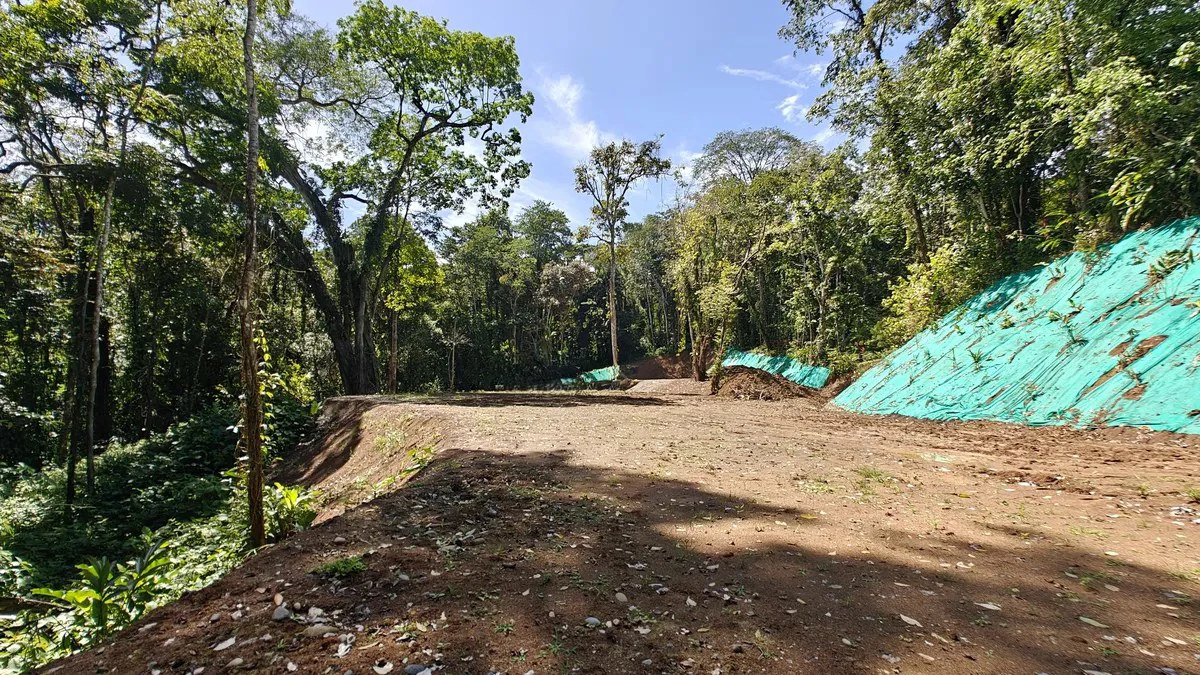 ID 1016: 6974m² Cahuita Titled Jungle Land Near the Beach