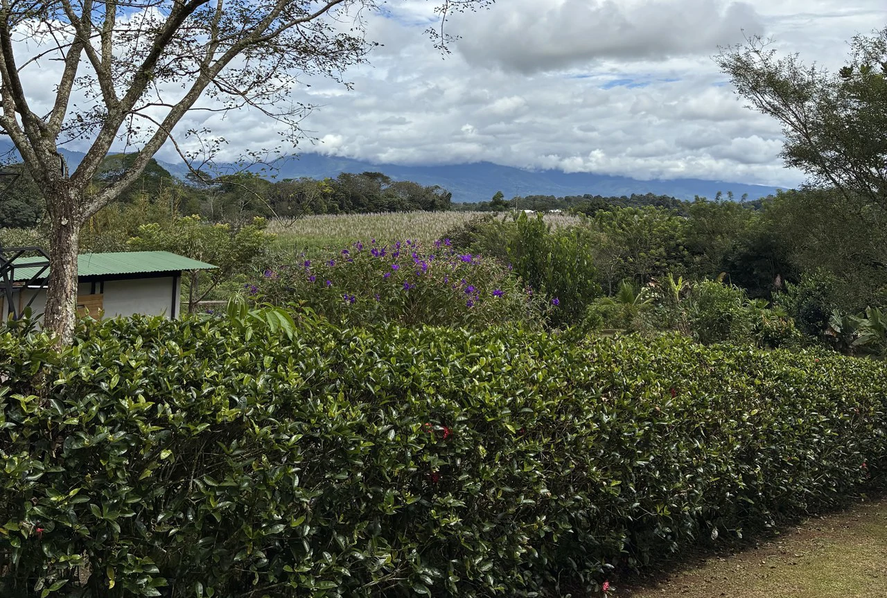 Building Lot 2O minutes from San Isidro with Fruit Trees and Views