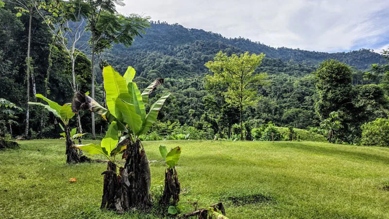 Waterfall Estate, Dos Bocas, Dominical Featuring Twin Waterfalls, Springs, Creeks & Rivers - Gallery image 9