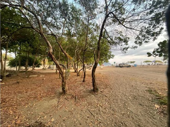 Jaco Luxury Ocean Front Lot - Gallery image 10