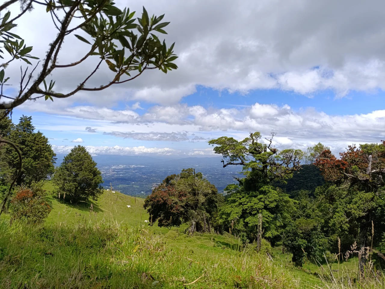 Tourism or Development?: Beautiful 56 ha with riverfront access - Gallery image 4