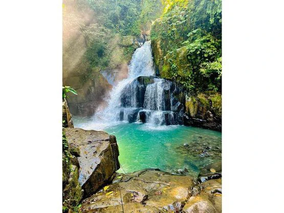 INCREDIBLE ECOLOGICAL PROPERTY WITH 4 SPECTACULAR WATERFALLS - Gallery image 10