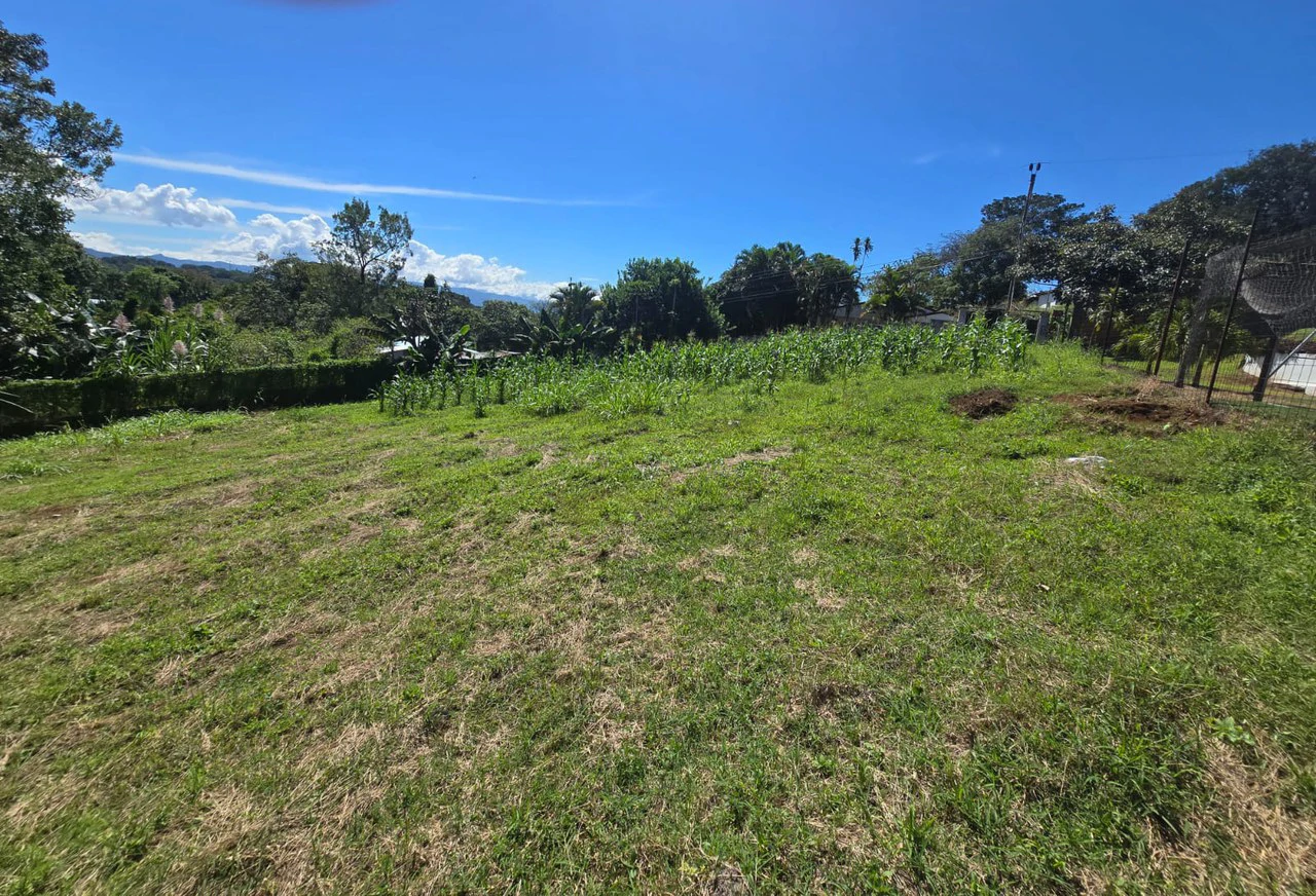 Land for sale in Tambor, Alajuela - Gallery image 7