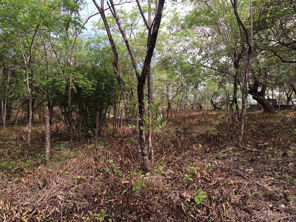 Finca grande: Economic Building property for sale in El Salto, with private access to the surrounding beautiful nature with own river - Gallery image 7