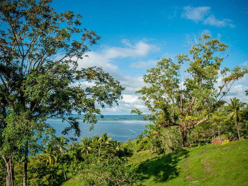 Bahía Chal Gulf View Close to Puerto Jimenez - Gallery image 16