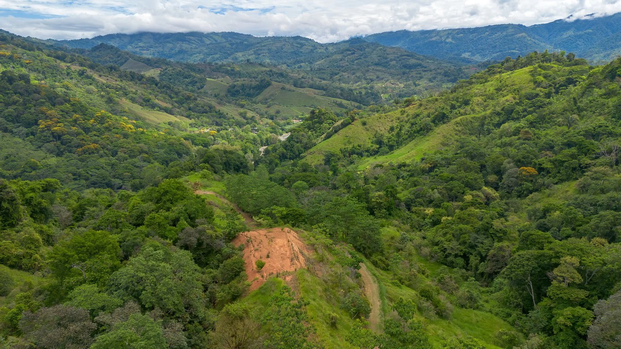 60+ Hectares in Platanillo | Own Your Own Mountain in Costa Rica - Gallery image 32