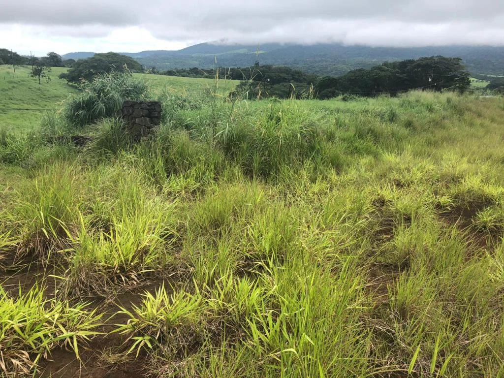 Lot with High Development Potential in Bijagua, Valle de Miravalles, Costa Rica - Gallery image 9