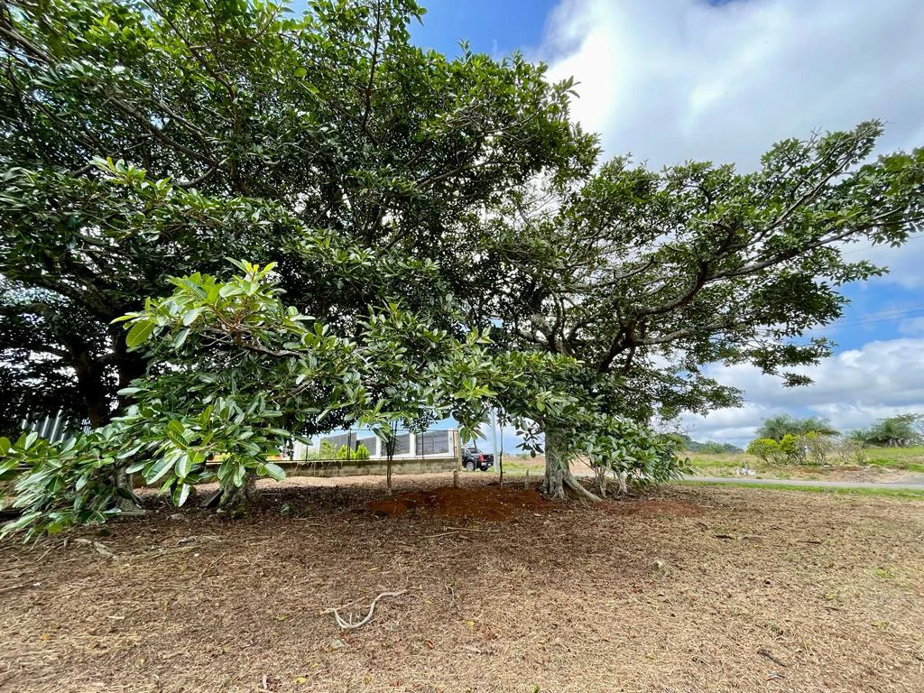 Bargain Lot for sale in Residencial Vista Mar with Ocean and mountain view between San Mateo and Orotina Alajuela Costa Rica - Gallery image 11