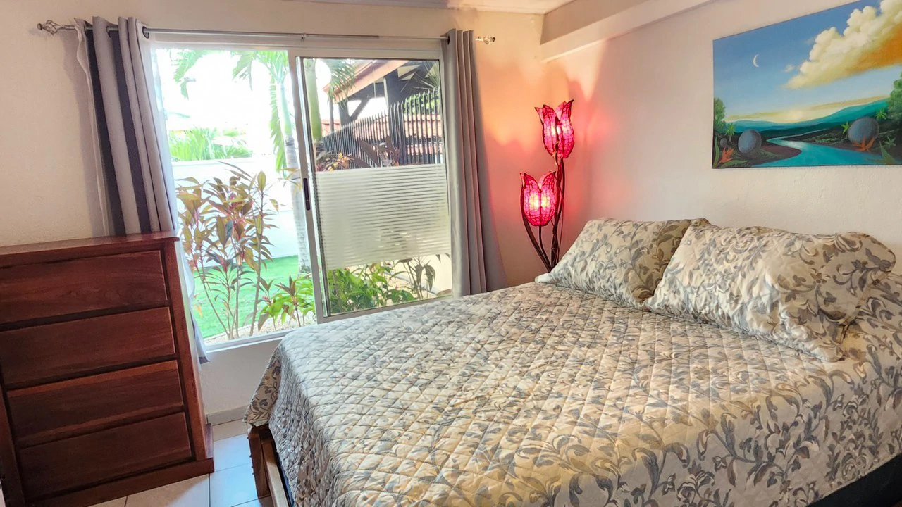 Jaco House like NEW- 4 Bedroom+Lock off Apartment - Gallery image 17