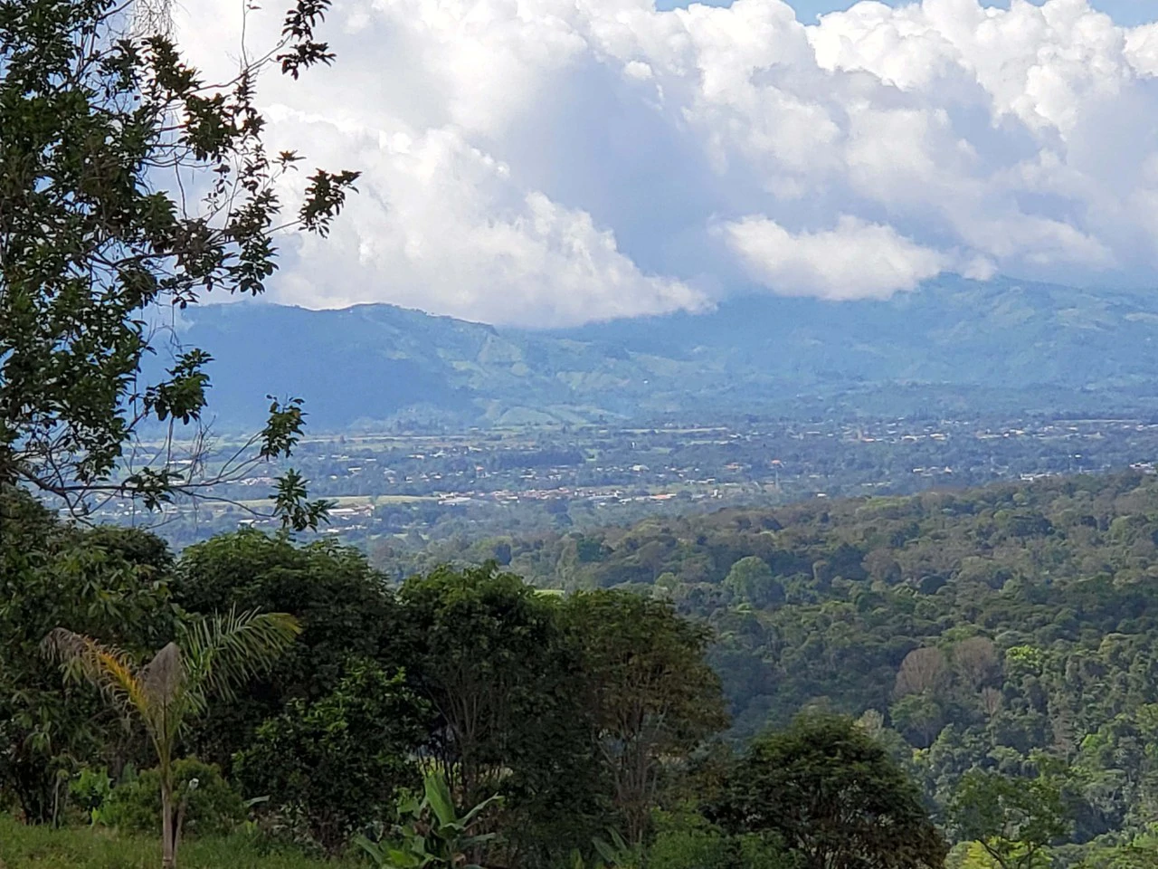 3.2 Acre Riverfront Property with Mountain Views San Francisco San Isidro - Gallery image 27