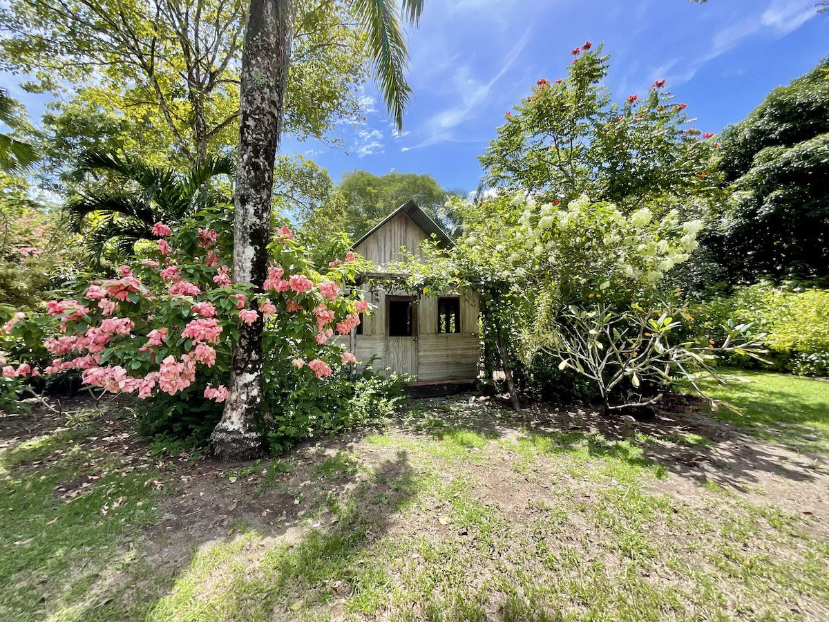 Punta Soñada: Point Break Beachfront Property Osa Peninsula - Gallery image 21