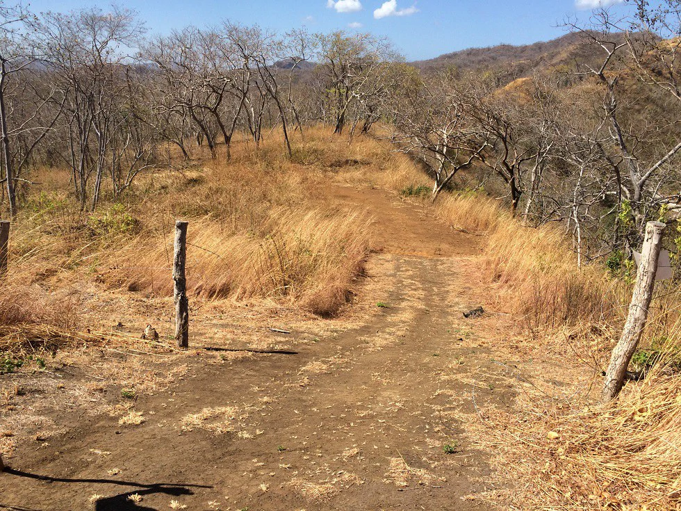 Ocean view property in the area of Guanacaste, great commercial opportunity near the Hotel Riu - Gallery image 20
