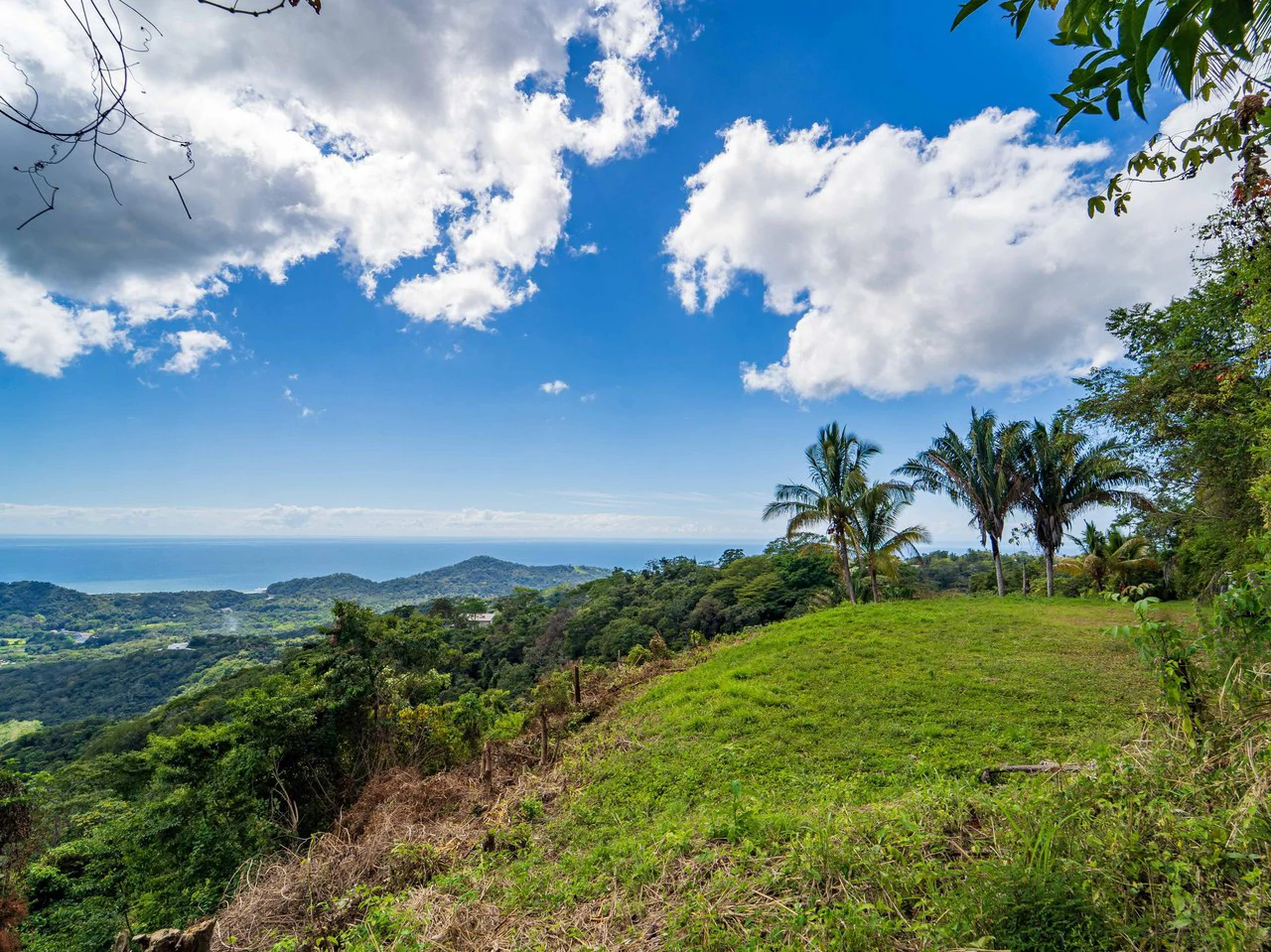 Lote Tres Palmas: Stunning Ocean View lot with 2 Platforms - Gallery image 12