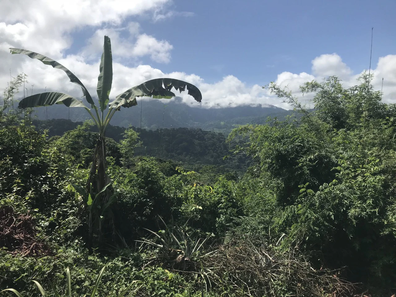2.7 ACRES – 3 Bedroom Home With Great Mountain View, 2 Pools With Waterslide, 2 Wheel Drive Access!!! - Gallery image 20