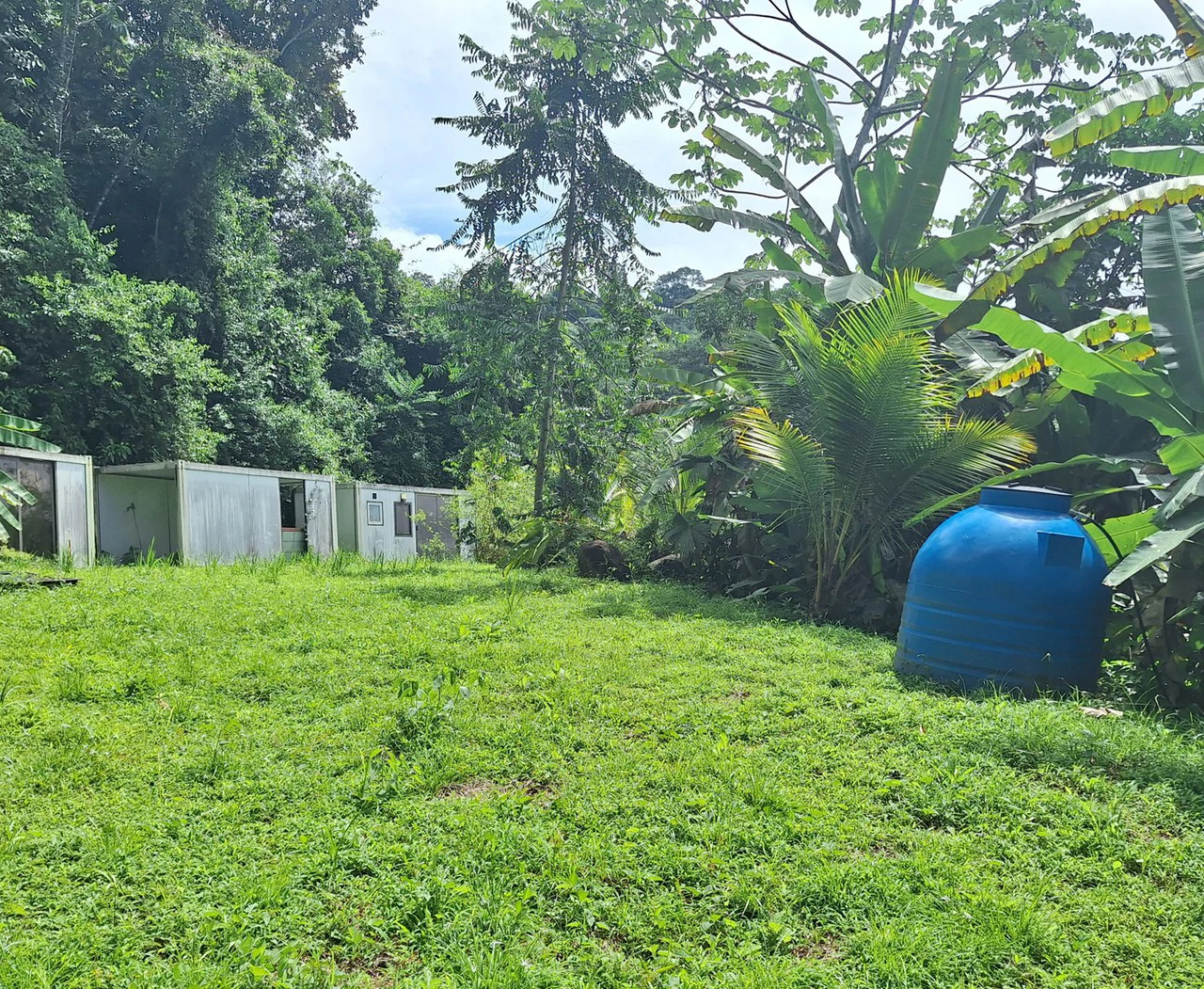 Exceptional Ocean & Mountain View Property in Pinuela Arriba, Costa Rica - Gallery image 16