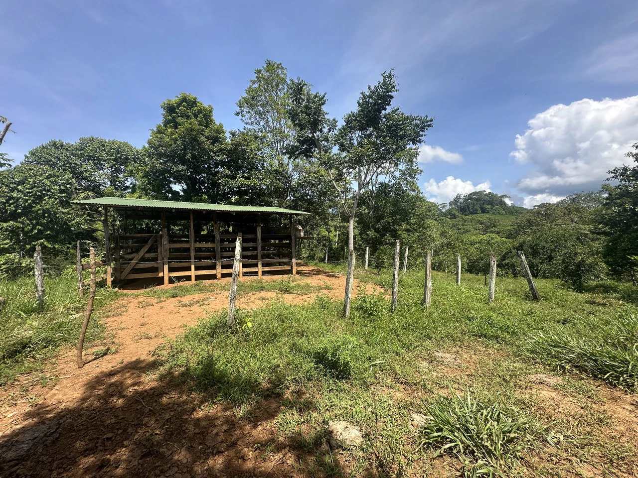 8.78 Acres Mountain View Estate with Water, Infrastructure & Endless Development Potential | Platanillo de Barú, Costa Rica - photo 14