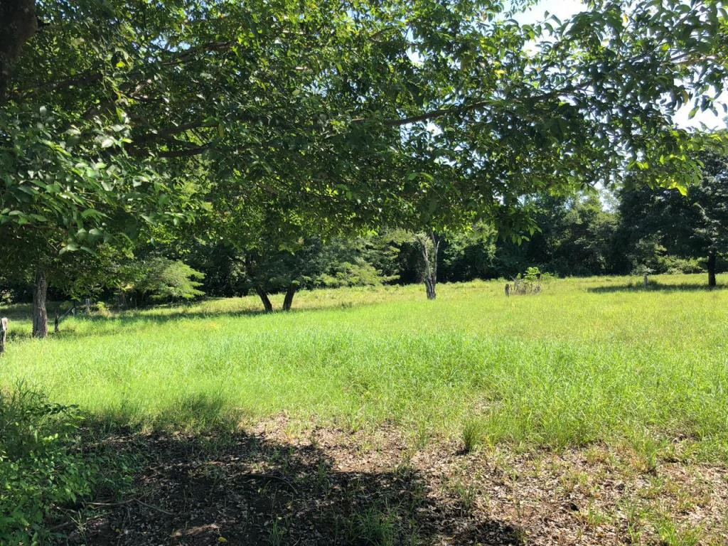 Huge dream Cattle farm for sale with 2 houses close to the Gulf of Nicoya, Guanacaste, Costa Rica - Gallery image 26