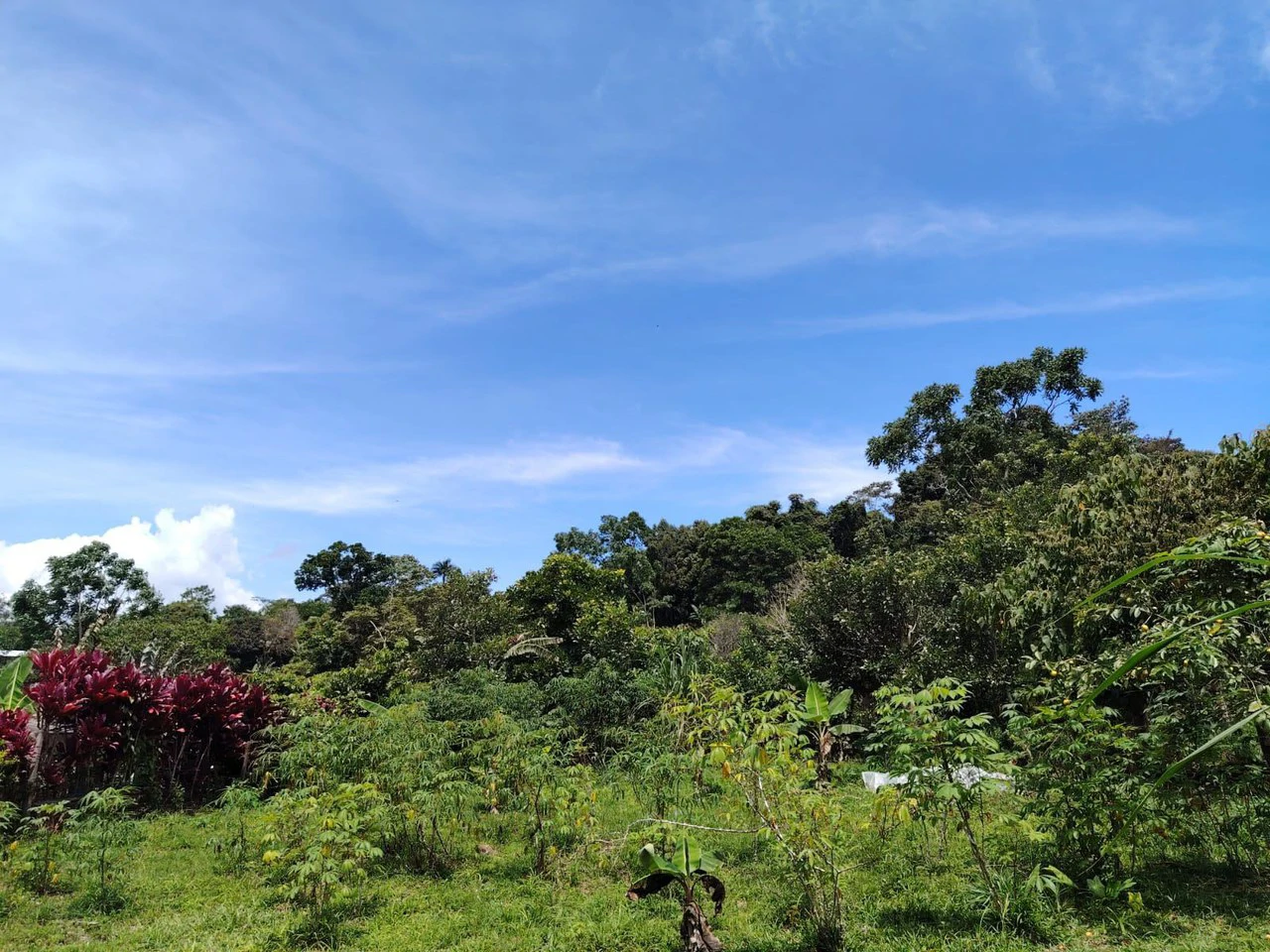Lote en San Juan Bosco, Perez Zeledon, Costa Rica: Countryside Home Construction Site For Sale in Daniel Flores - Gallery image 9