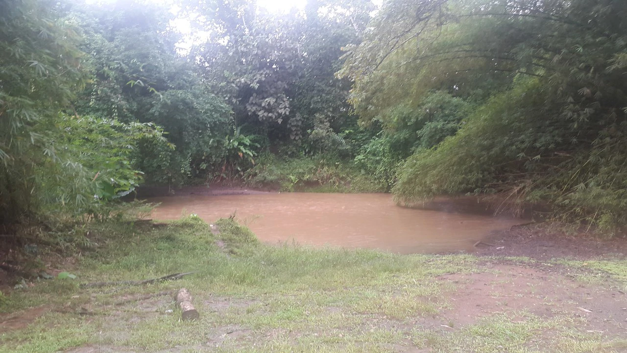 Countryside Development Parcel For Sale in Cariari - Gallery image 15