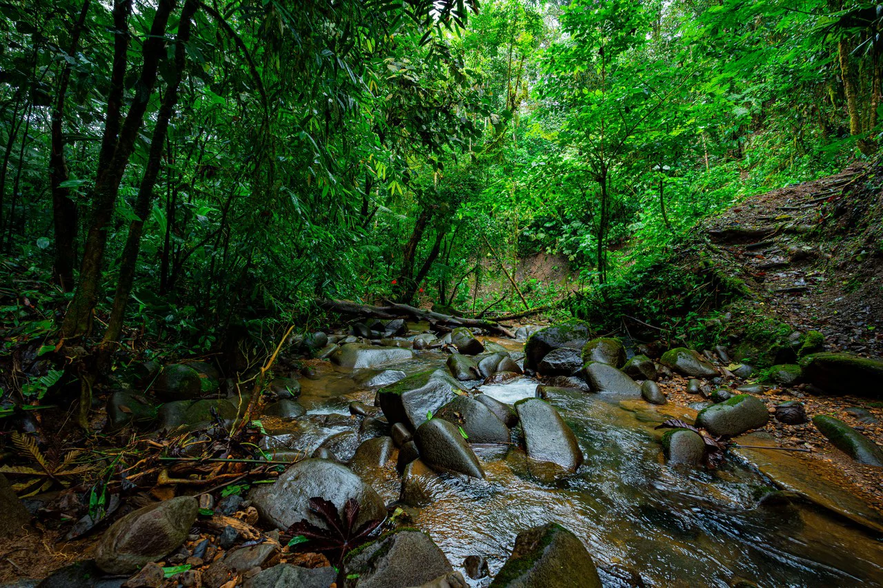 Riverfront Sanctuary with Breathtaking Views of Diamante Waterfalls - Gallery image 25