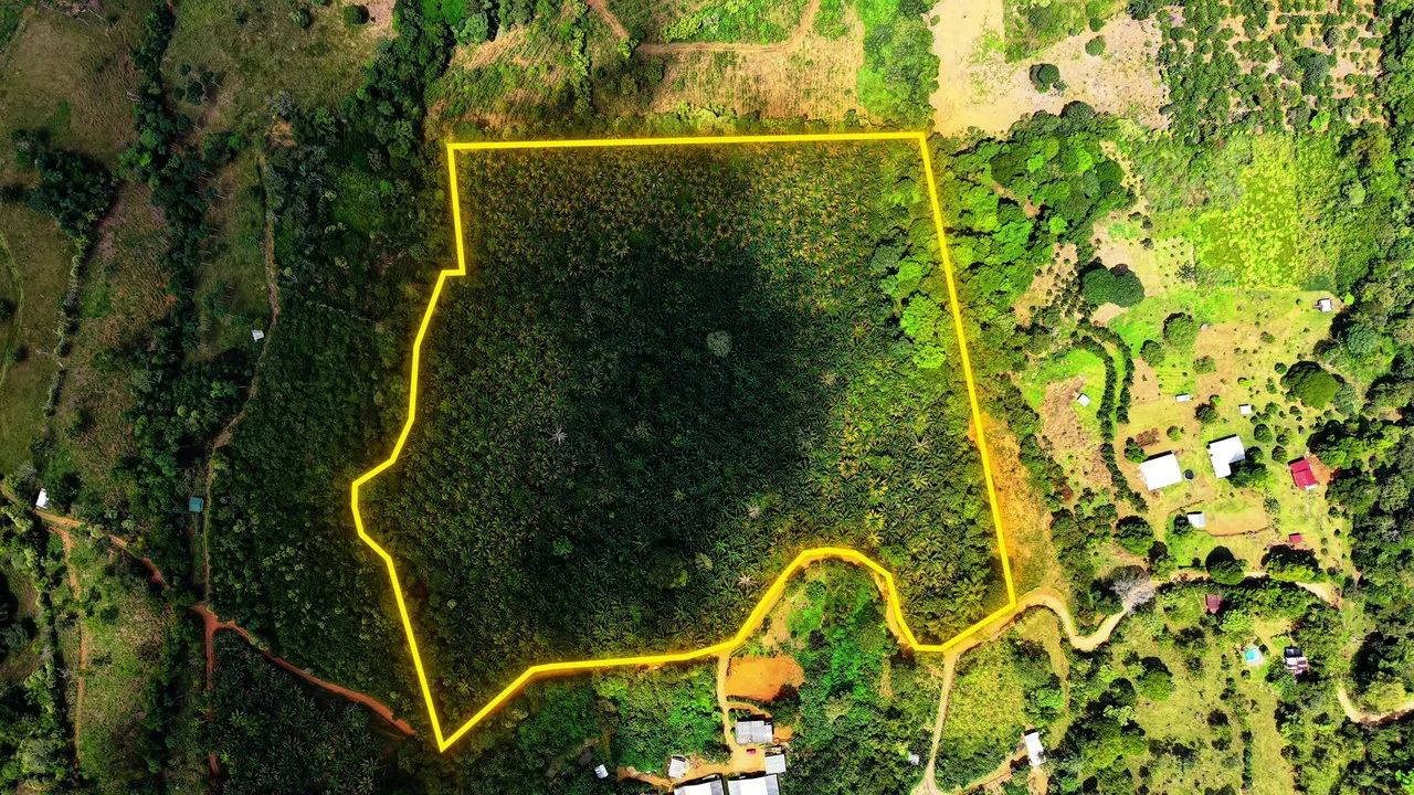 Countryside Home Construction Site For Sale in San Pedro - photo 3