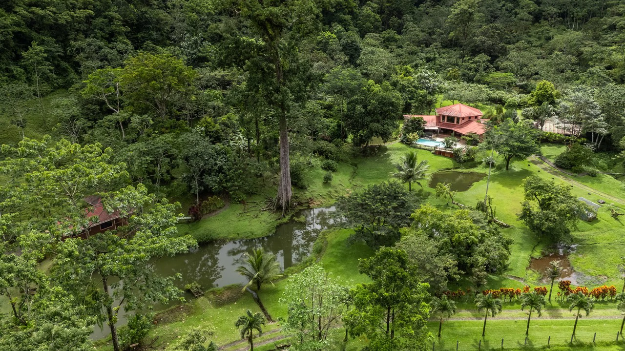 Finca Mei Tai: Enchanting property! Don't miss your chance to own a piece of paradise! - Gallery image 23