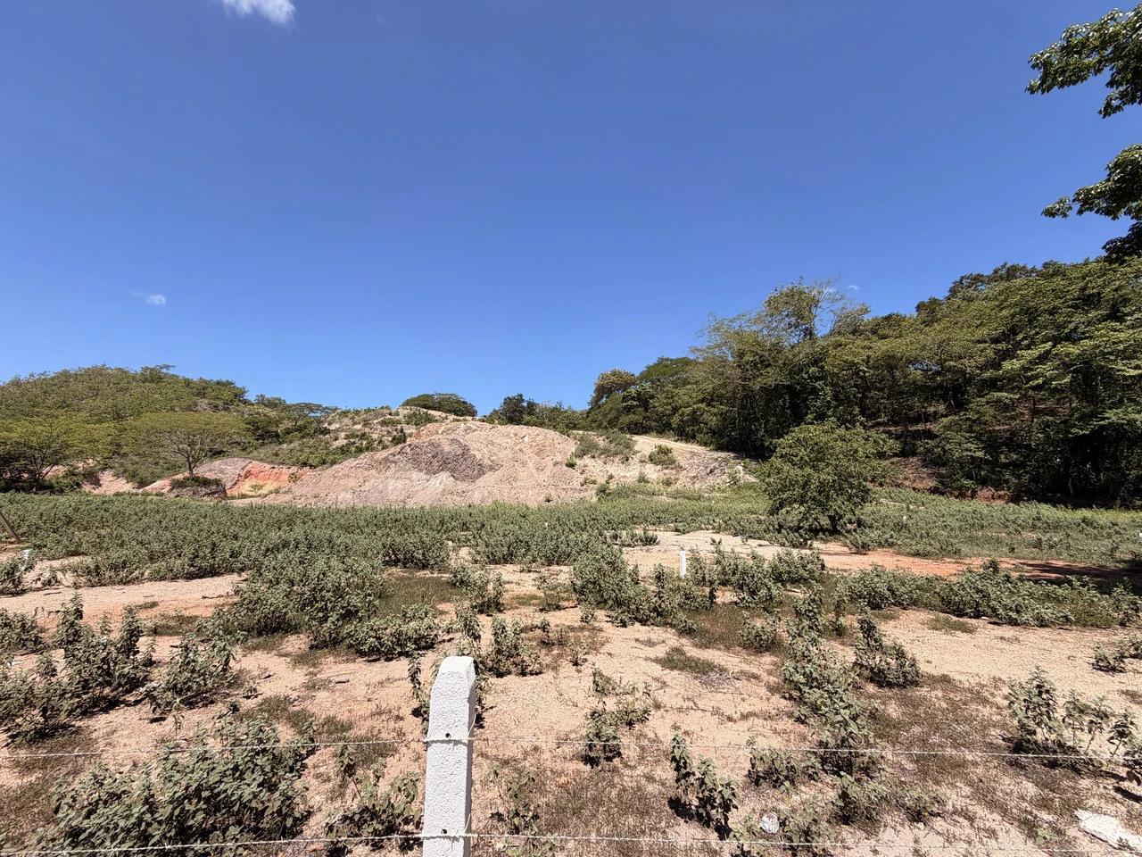 Commercial Development Land: Near Huacas - photo 10