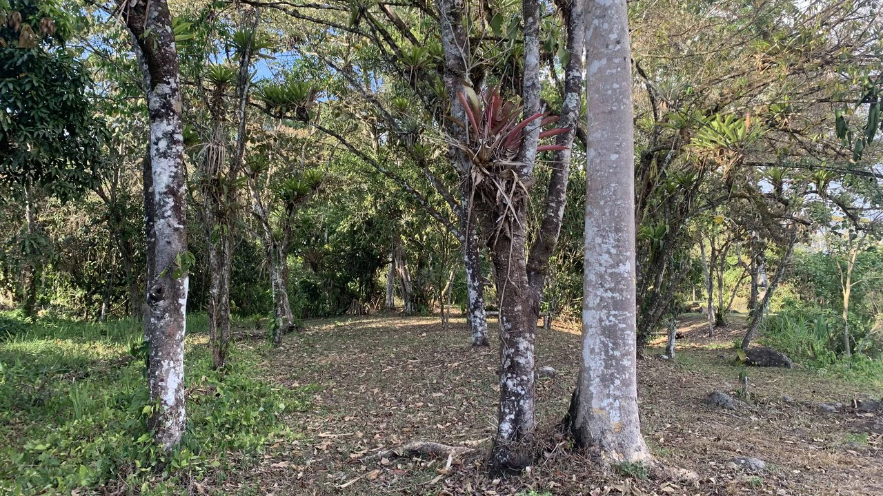 Talari Hotel: Nature and Bird Lover's Paradise - Mountain Lodge - Gallery image 31
