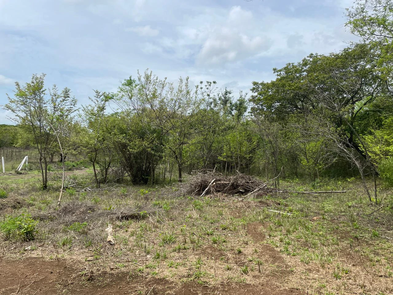 BEST PRICE! For sale comercial Property for warehouses or free zone, 1 km from Liberia Airport, Guanacaste, CR - Gallery image 5