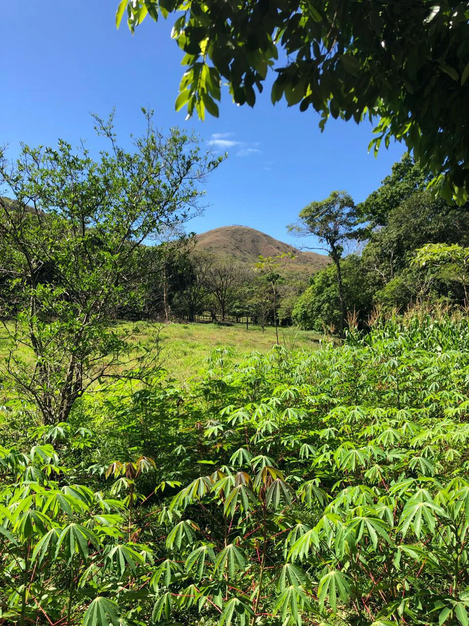 Peace, Privacy, Nature!: Finca in Eco friendly natural area - Gallery image 5