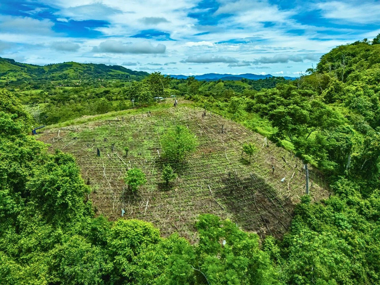 Gulf View Mountain Farm - Gallery image 15