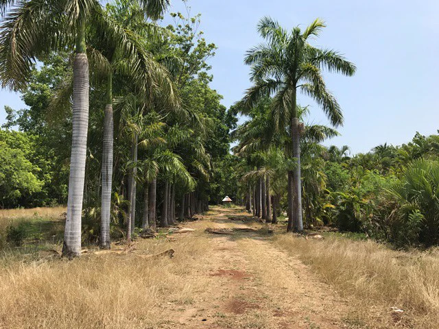 Great property in Santa Cruz: Excellent opportunity to develop in excellent location - Gallery image 4