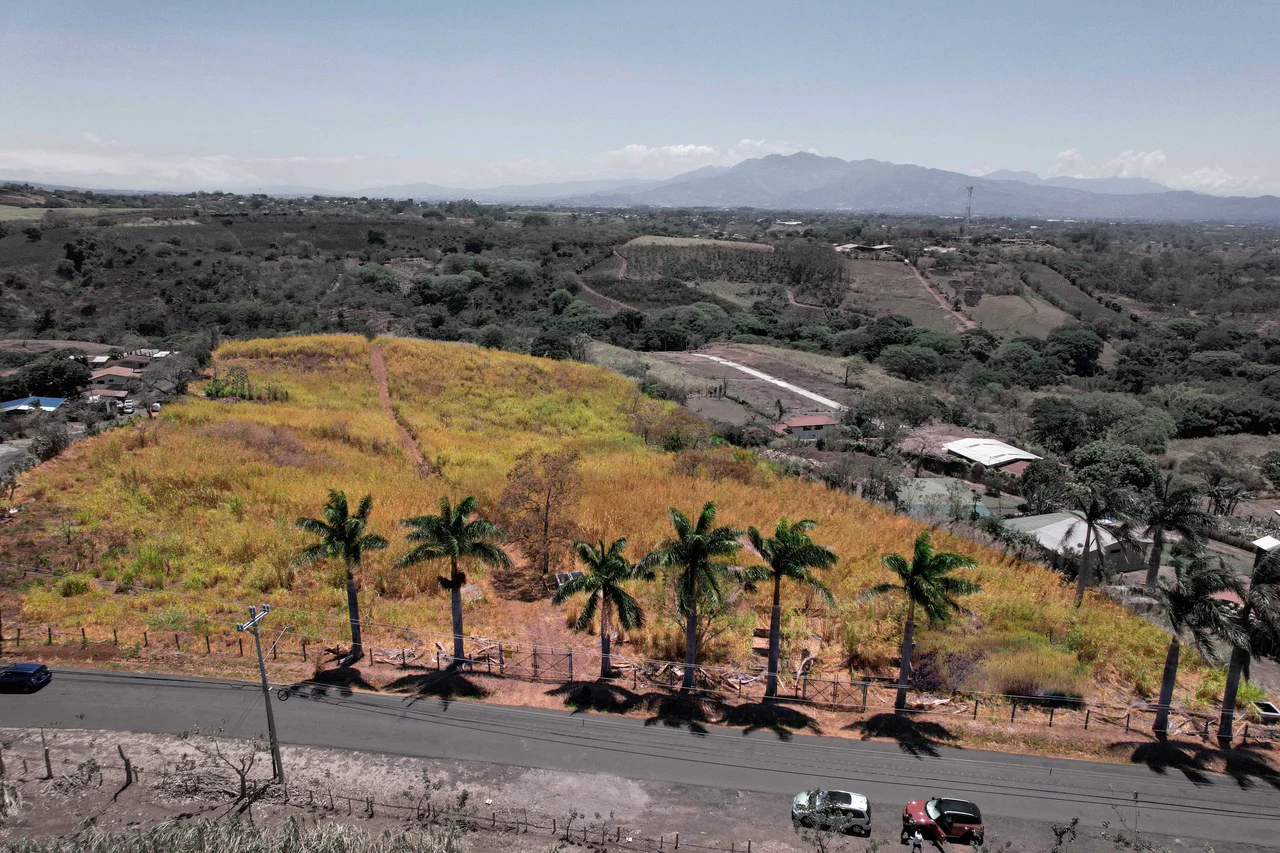 Land for Sale for Investment in Grecia - Gallery image 2