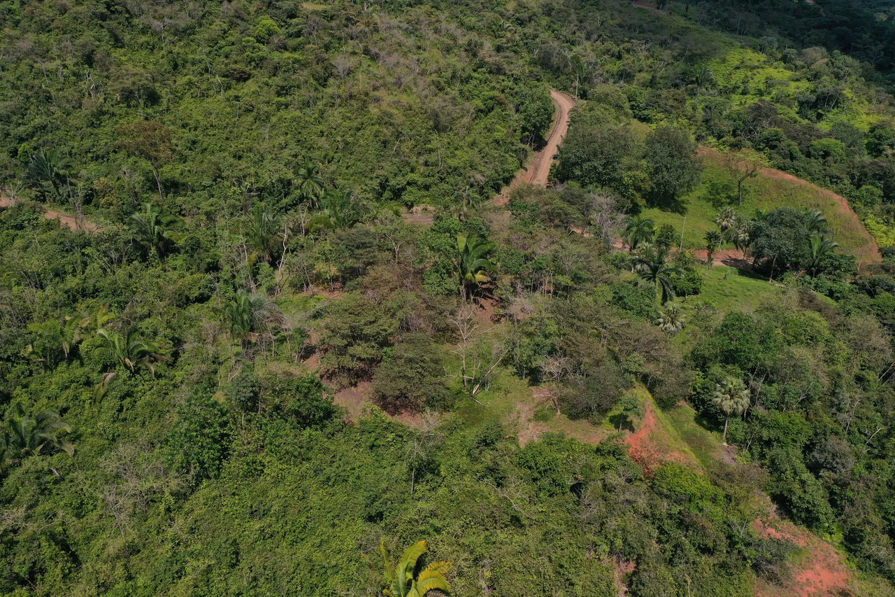 12 Acre Farm in Private Agricultural Community South of Ojochal - Gallery image 16