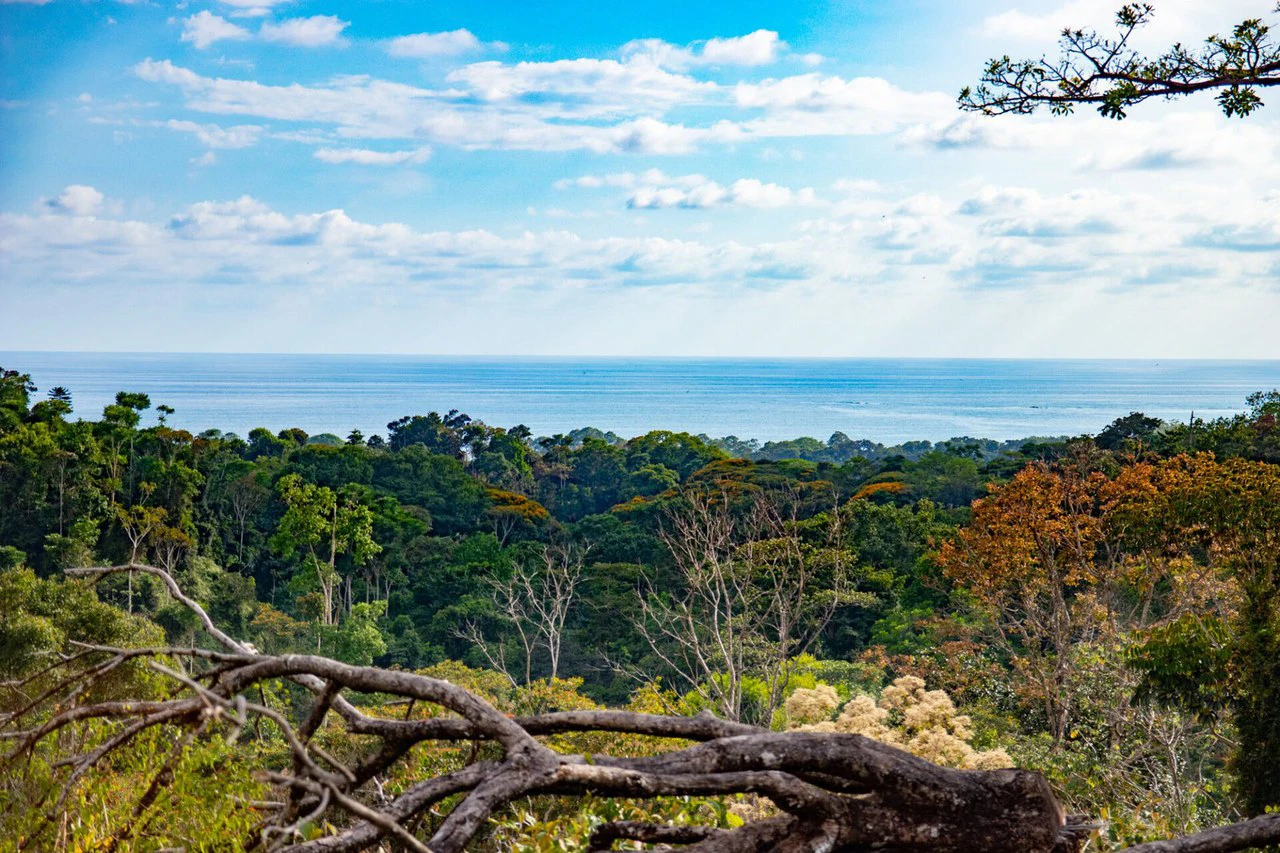 10 ACRES – Rare Ocean View Development Or Estate Property In Uvita – With Waterfall!!! - Gallery image 5