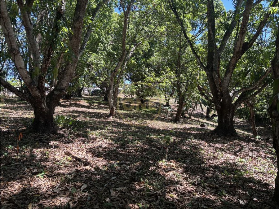 FOR SALE / Land in Coyolar, Orotina, Alajuela - photo 3