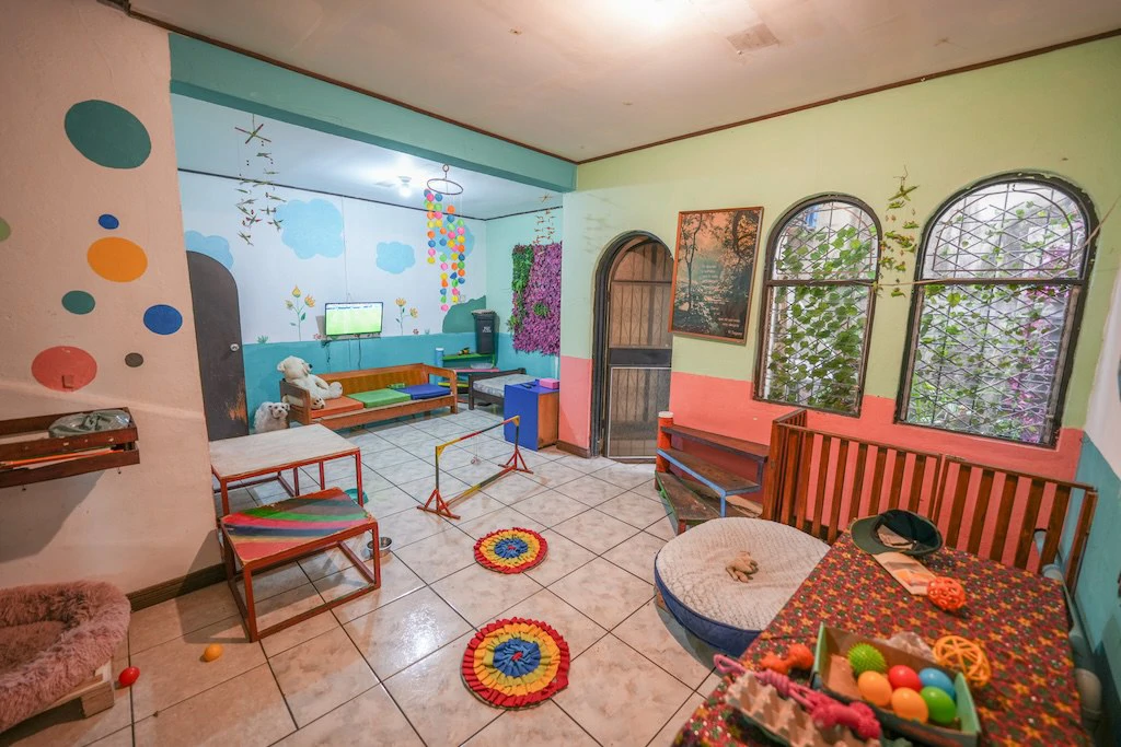 Retail Strip Center For Sale in Barrio Escalante - Gallery image 18